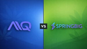 Alpine IQ vs Springbig Comparison