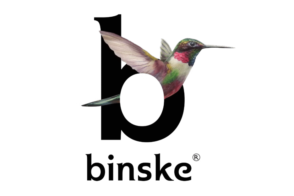 binske-logo-1